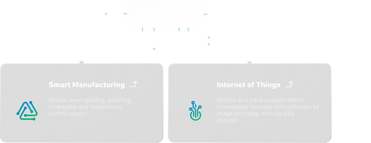 Trung Nam Electronics Manufacturing Services